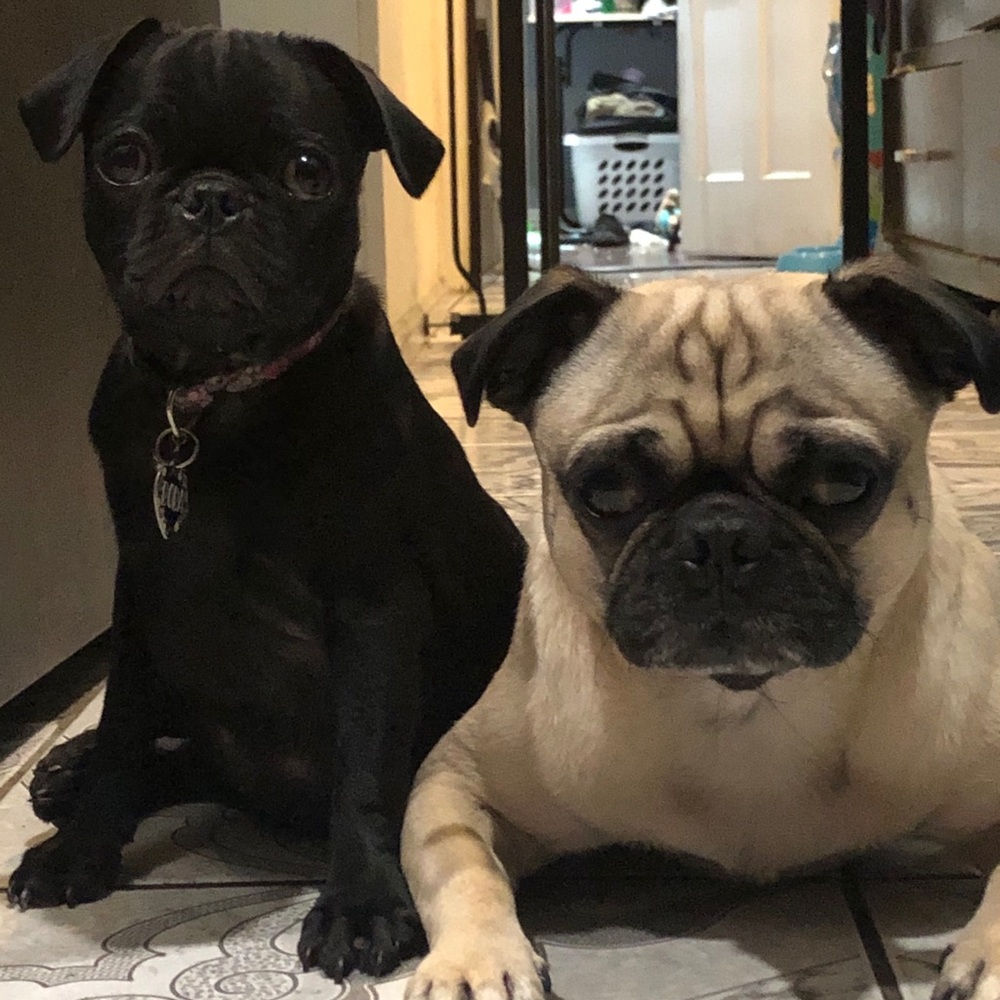 Meet your Posher, Angie